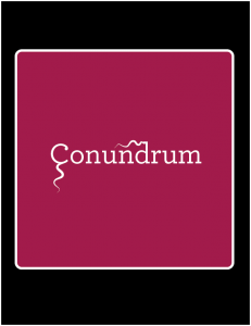 Conundrum Outdoor Sign